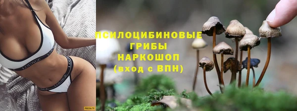 молекула духа Козловка