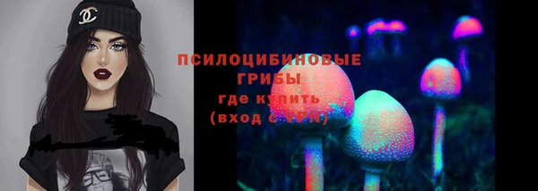 молекула духа Козловка