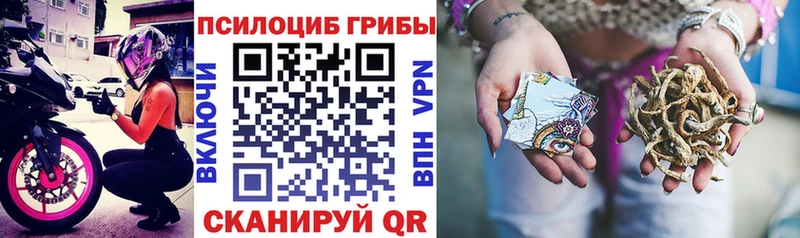 Купить где  Волчанск  Галлюциногенные грибы мицелий 